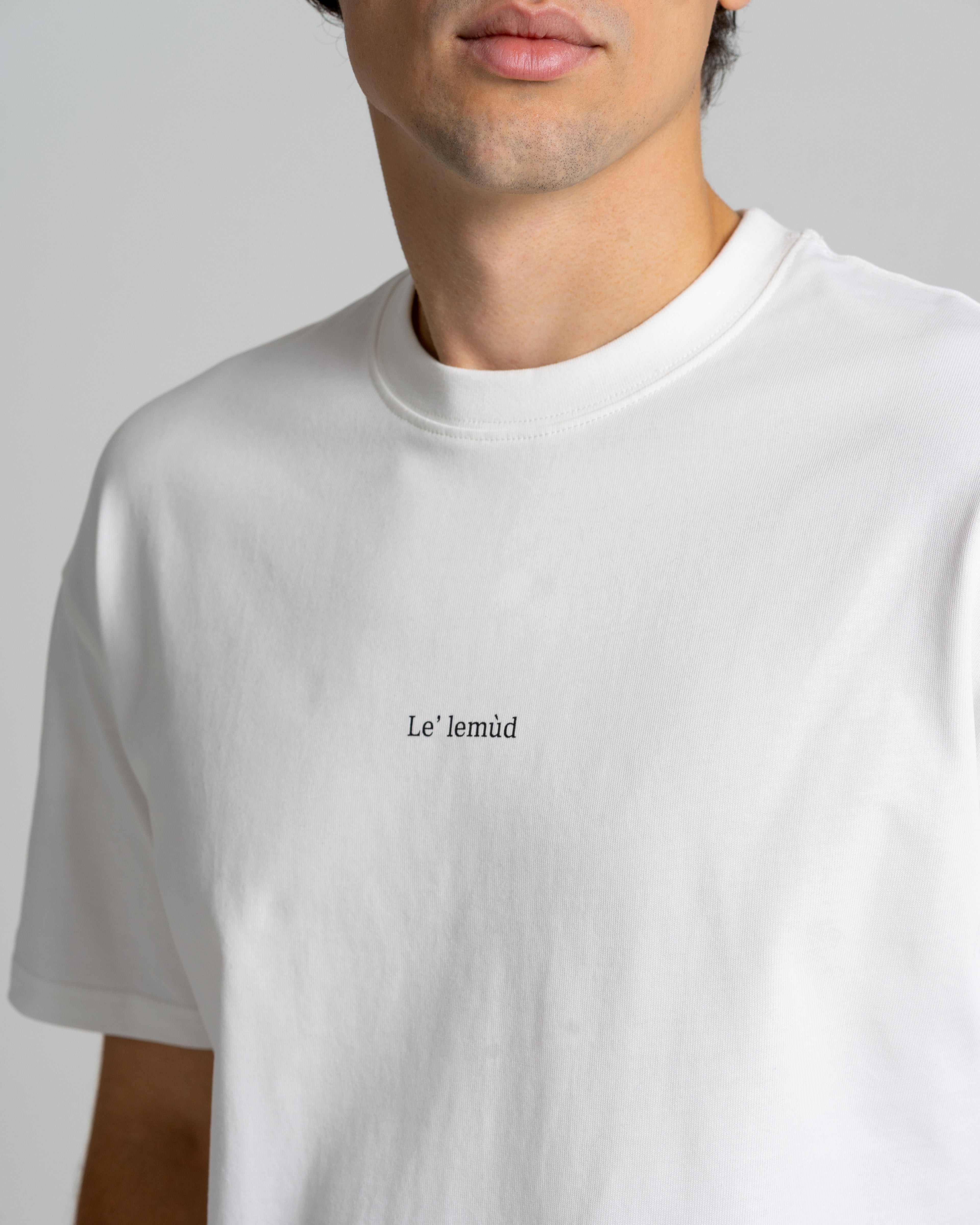 White oversized t-shirt with Le Lemud logo on the chest and closeup zoom, front view on white background